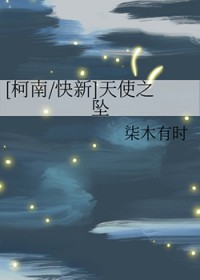 [柯南同人] 天使之坠